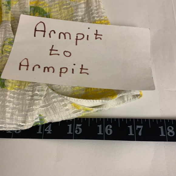 Lemon print dress Ann Taylor SZ 4 sheer banded waist retro full skirt whimsical - Picture 9 of 12